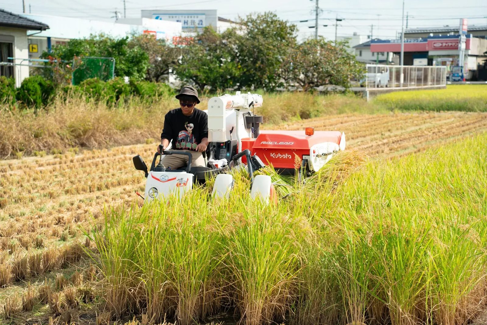 コンバインでの稲刈り作業