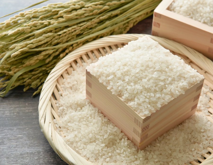 ハツシモを精米し袋詰めする作業の様子