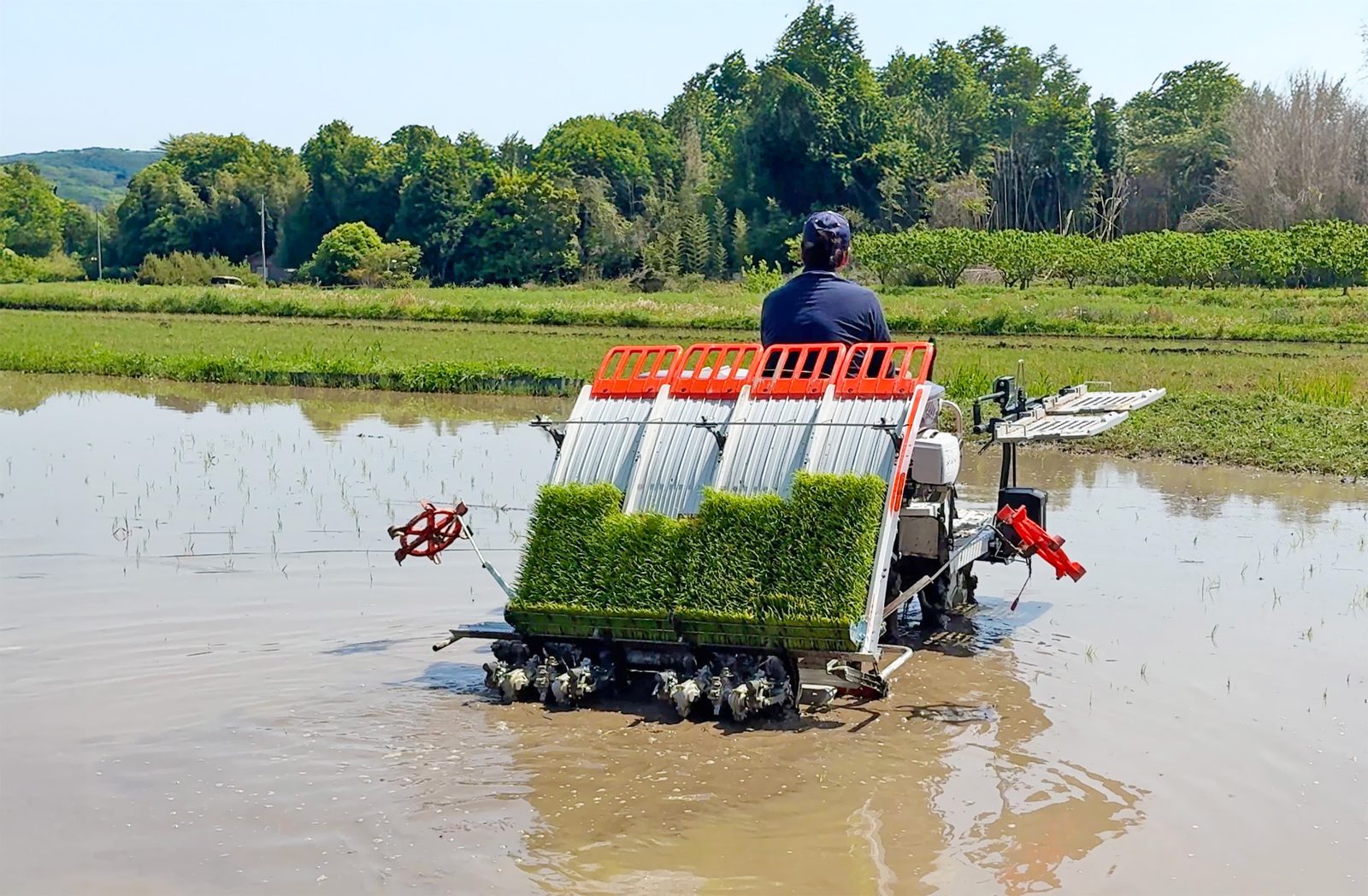 田植え機で作業する生産者