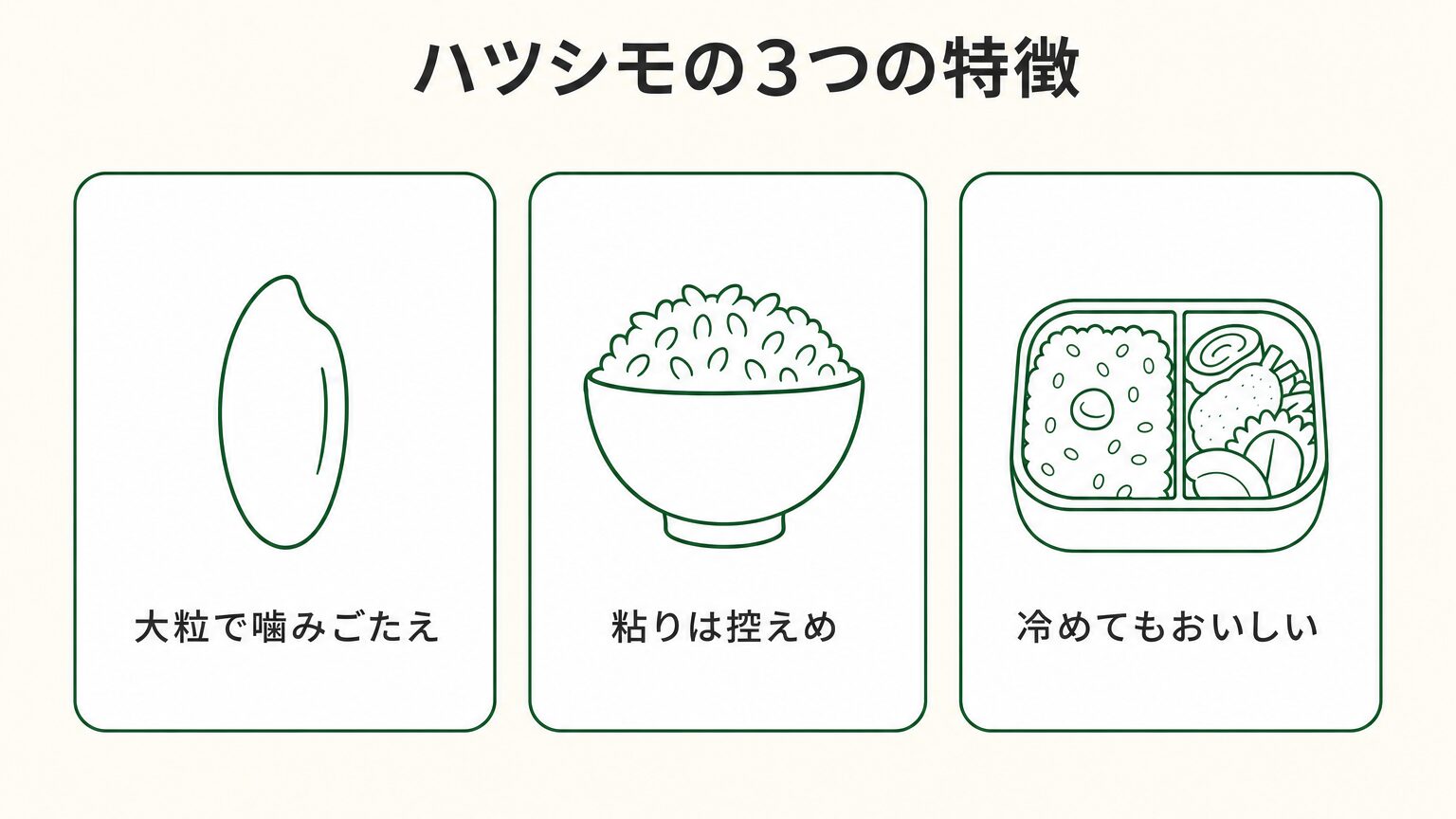 ハツシモの3つの特徴(大粒で噛みごたえ・粘りは控えめ・冷めてもおいしい)を示した図