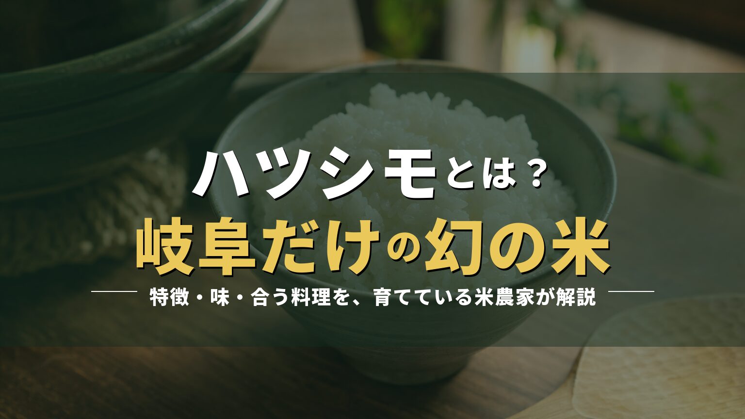 炊きたてのごはんの写真に「ハツシモとは? 岐阜だけの幻の米」の見出しを重ねたアイキャッチ